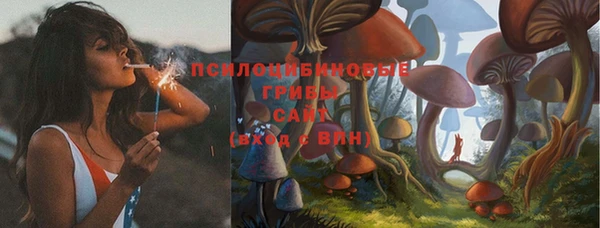не бодяженный Краснослободск