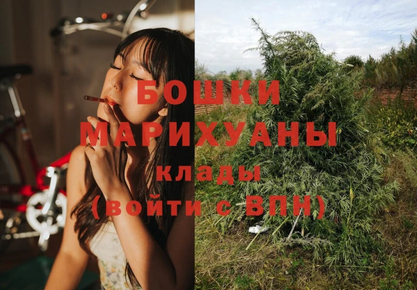 прущие грибы Иноземцево